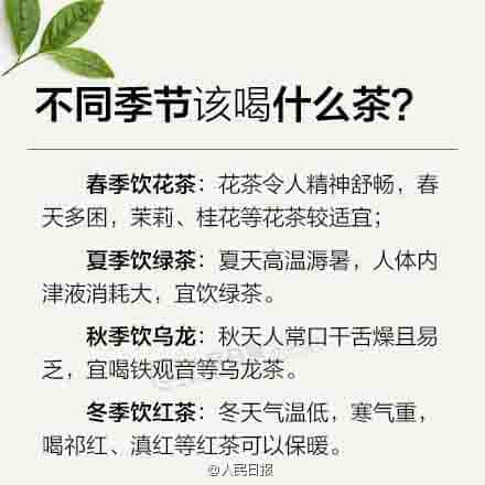 新手喝茶必备，茶知识大全