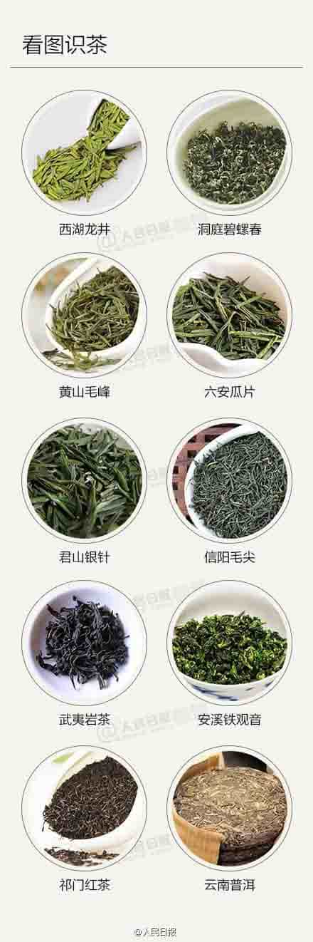 新手喝茶必备，茶知识大全