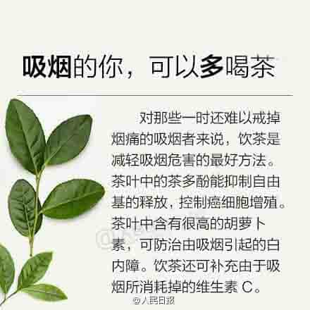 新手喝茶必备，茶知识大全
