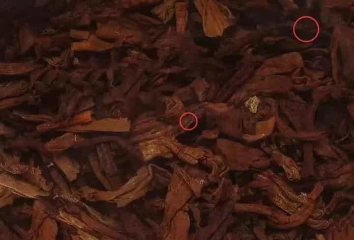 茶叶叶底是什么，怎样的叶底才算好