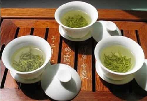 都匀毛尖茶简介