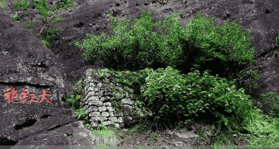 这些茶叶冷知识，非常重要。（老茶人的经验之谈）