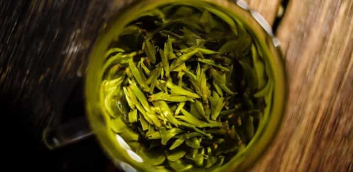 茶叶怎么看有没有坏？有没有变质？