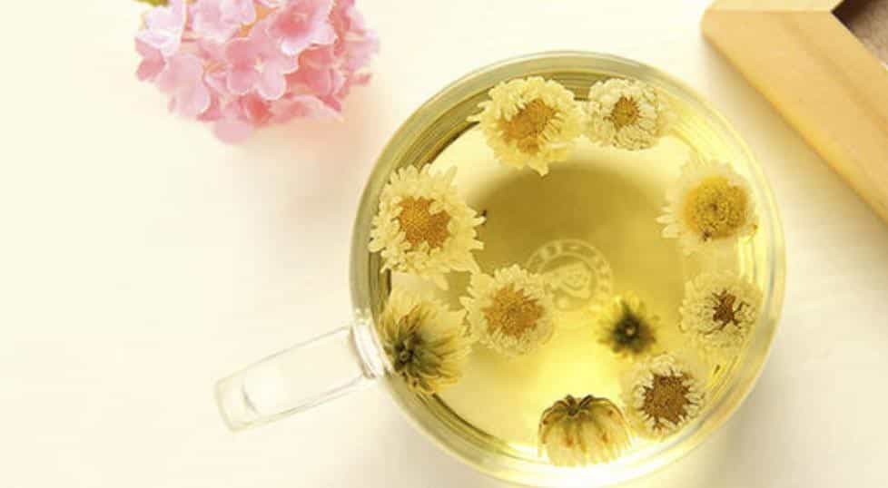 菊花泡水喝的9大禁忌