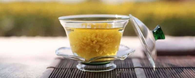 菊花茶的副作用与禁忌