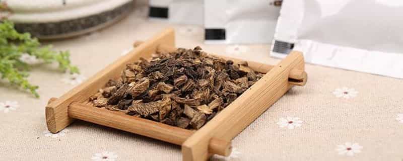 蒲公英葛根泡茶的禁忌
