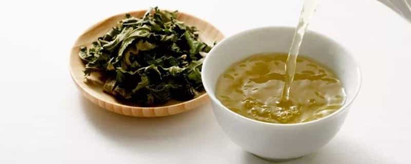 喝桑叶茶有副作用吗