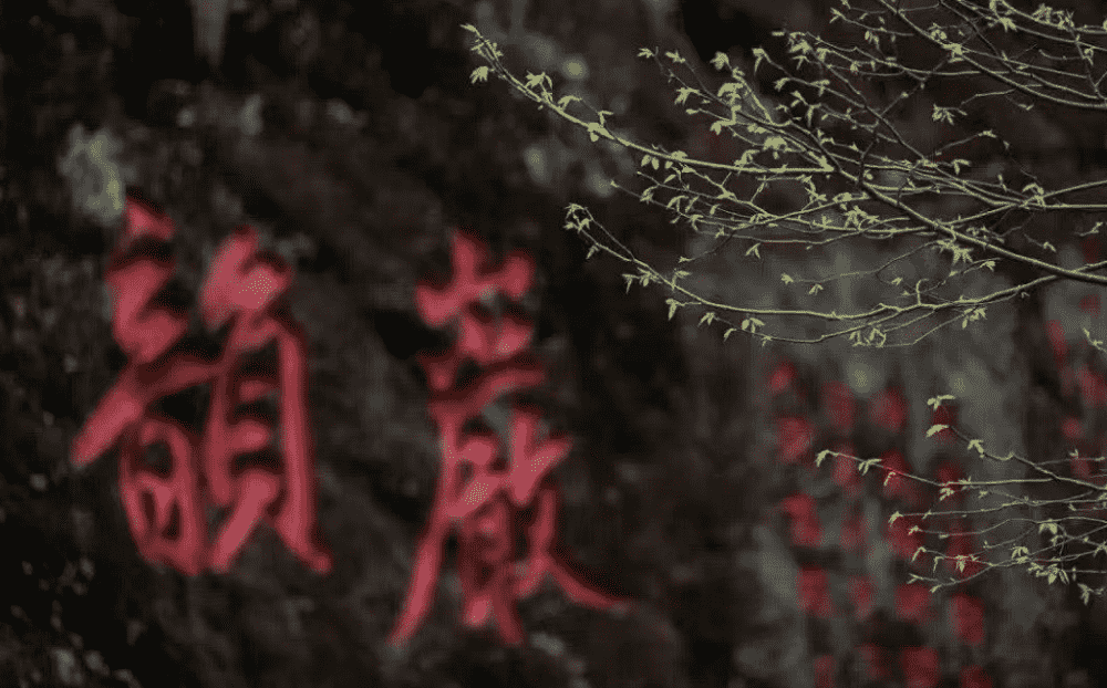 武夷岩茶保质期