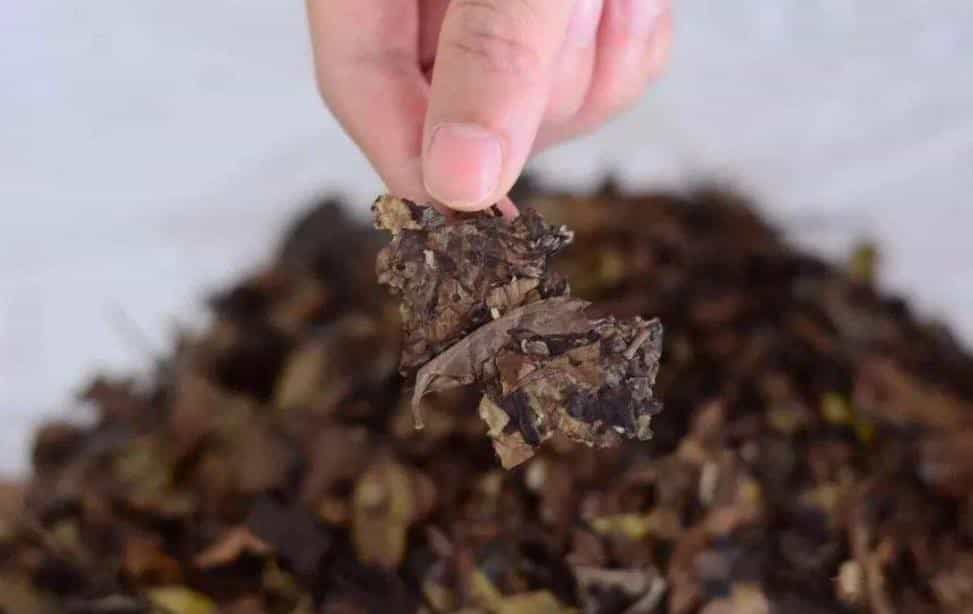 白茶的保存方法以及注意事项