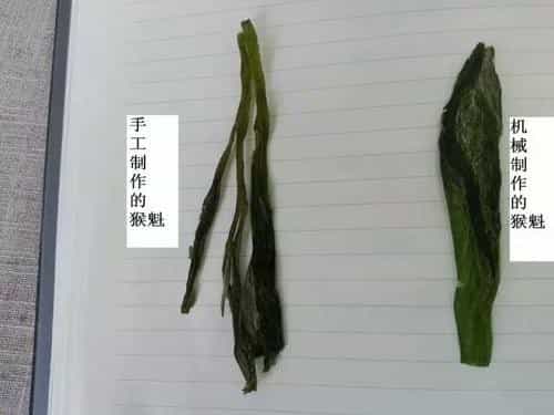 太平猴魁过期5年能喝吗