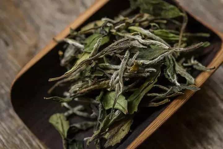 白茶如何存放比较合适，白茶存茶技巧
