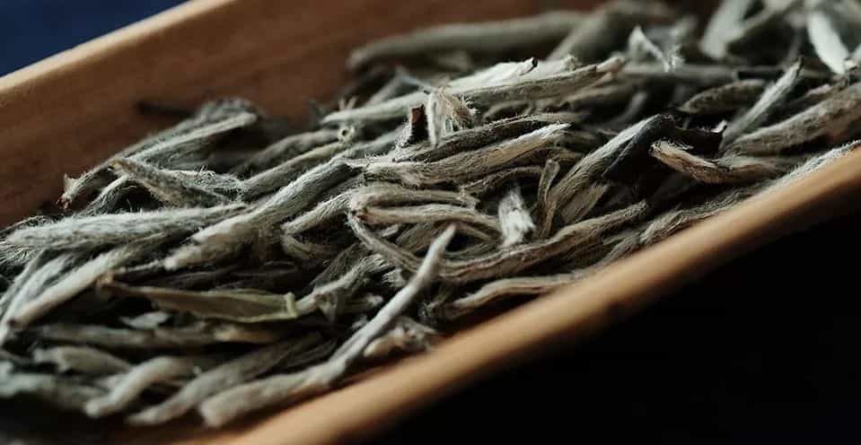 白茶用多少度的水泡最好