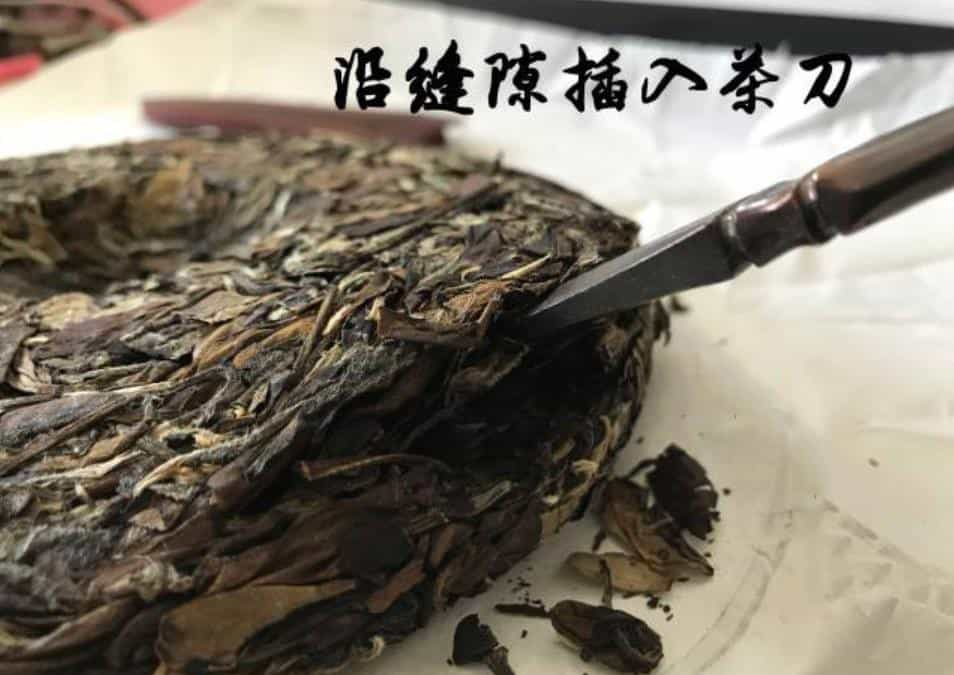 白茶用多少度的水