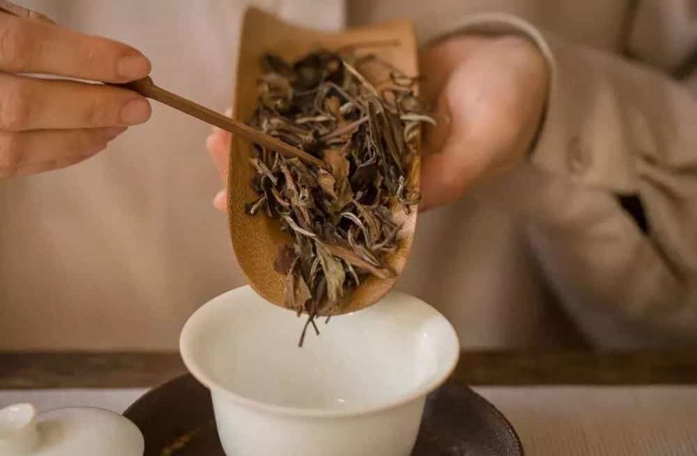 什么茶需要洗茶什么茶不需要洗