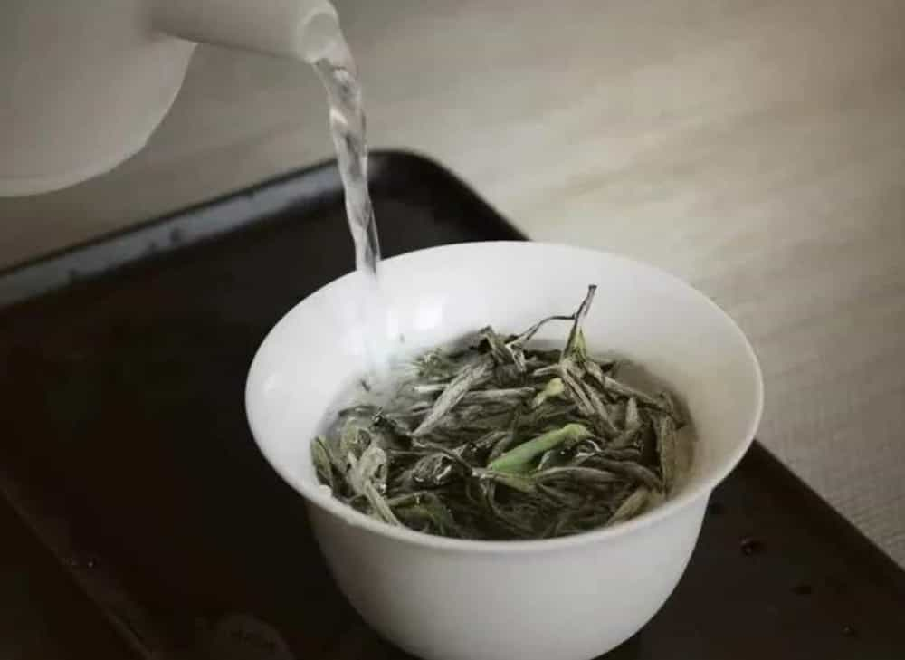 福鼎白茶需要洗茶吗