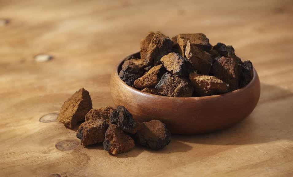 华树茸可以和茶叶一起泡水喝么