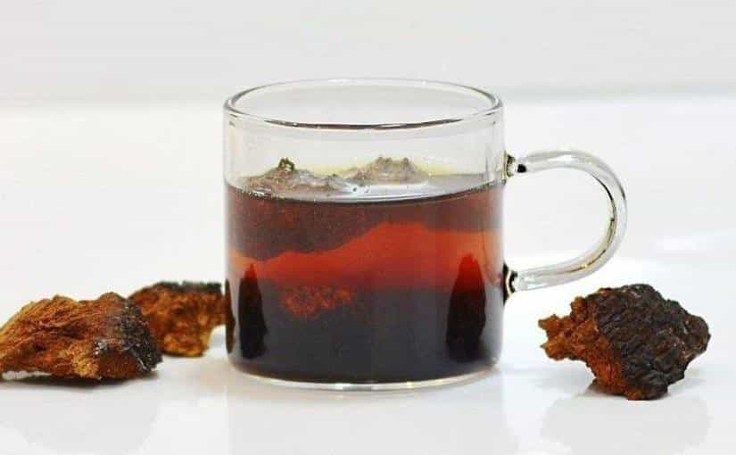 华树茸可以和茶叶一起泡水喝么