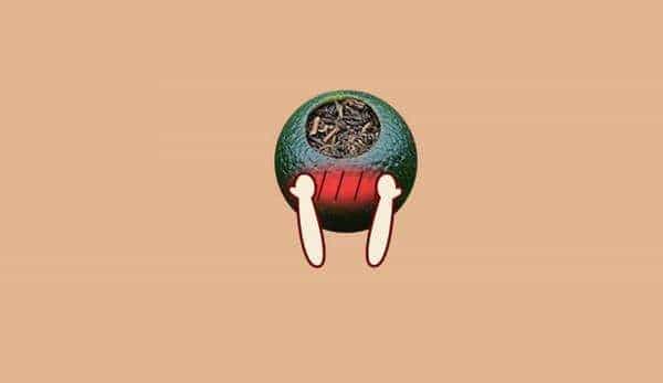 柑普茶怎么泡