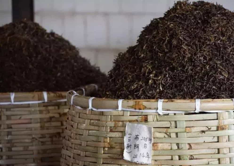 熟普洱茶的耐泡程度如何