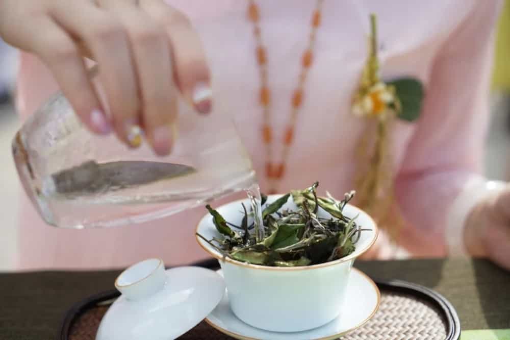 泡好一杯茶，注水方式很关键