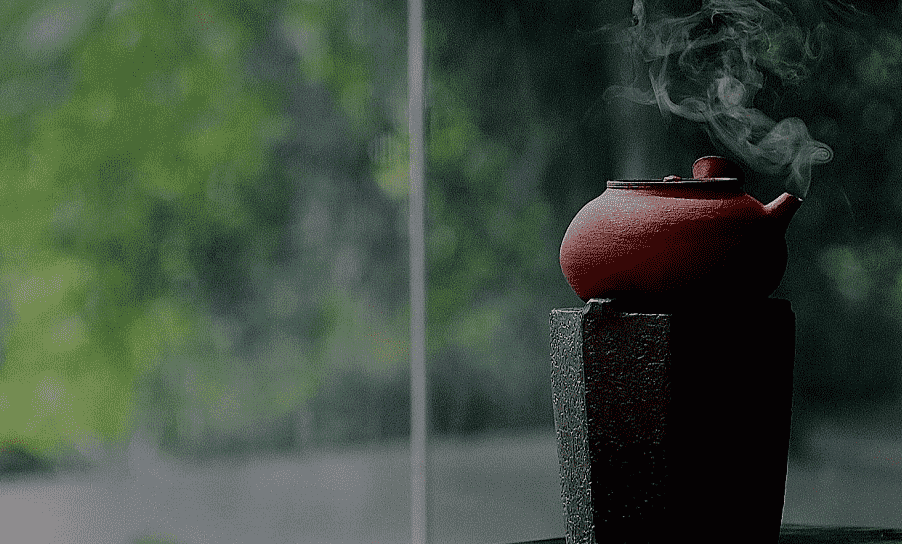 煮白茶的正确方法