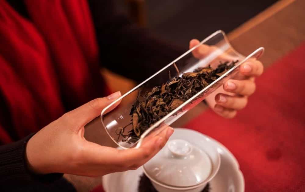 煮白茶的正确方法