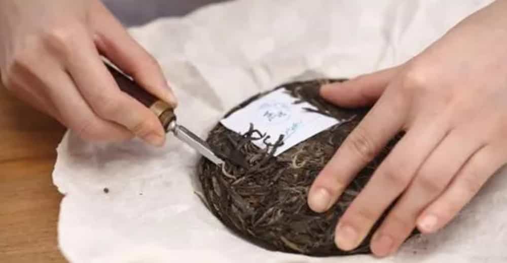 普洱生茶泡茶的步骤