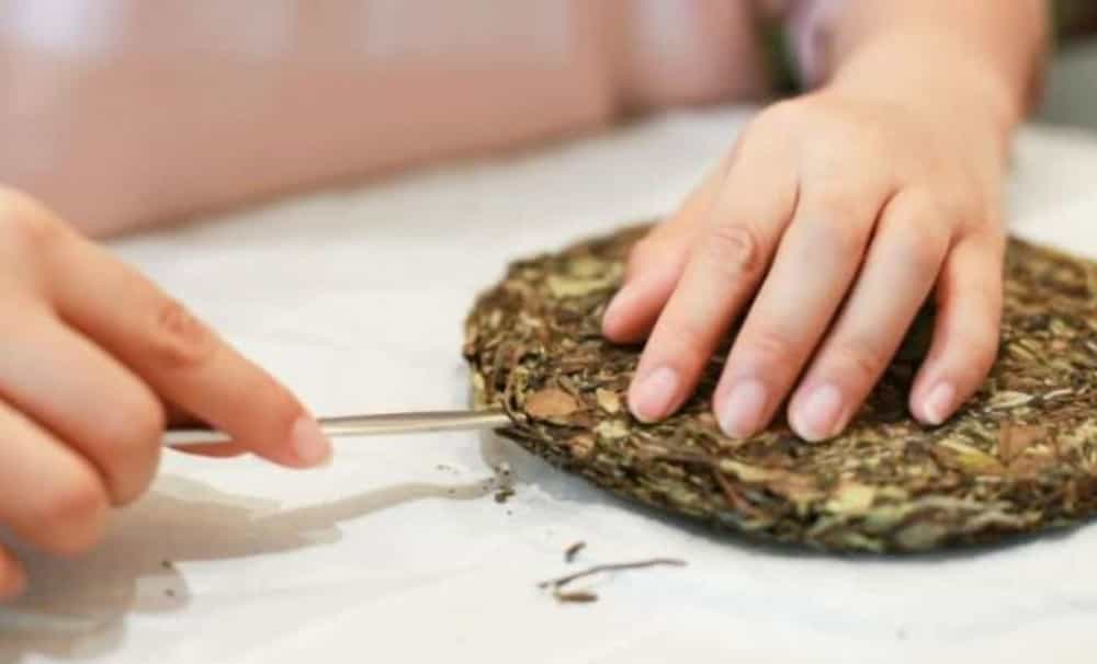 福鼎白茶怎么泡才正确方法