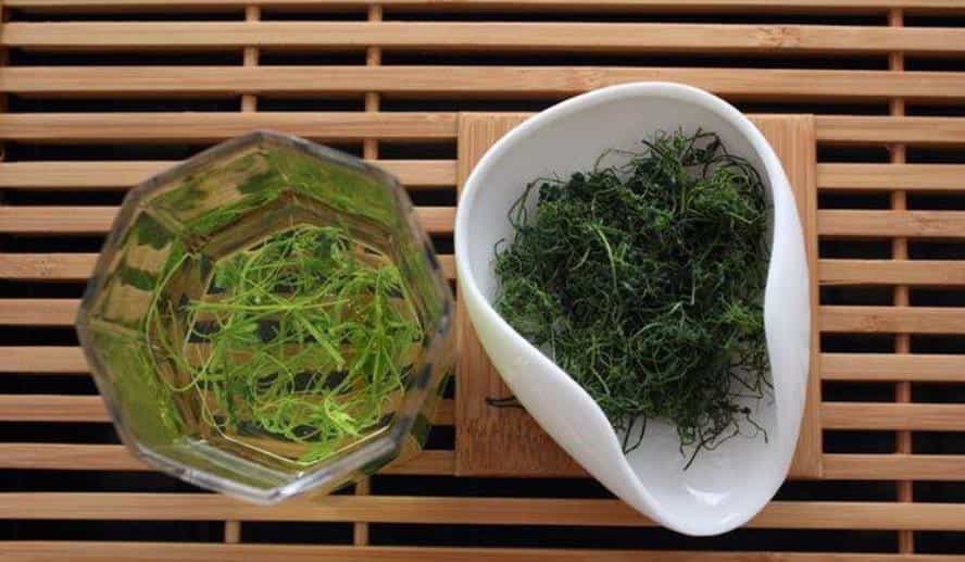 绞股蓝怎么泡水喝才正确