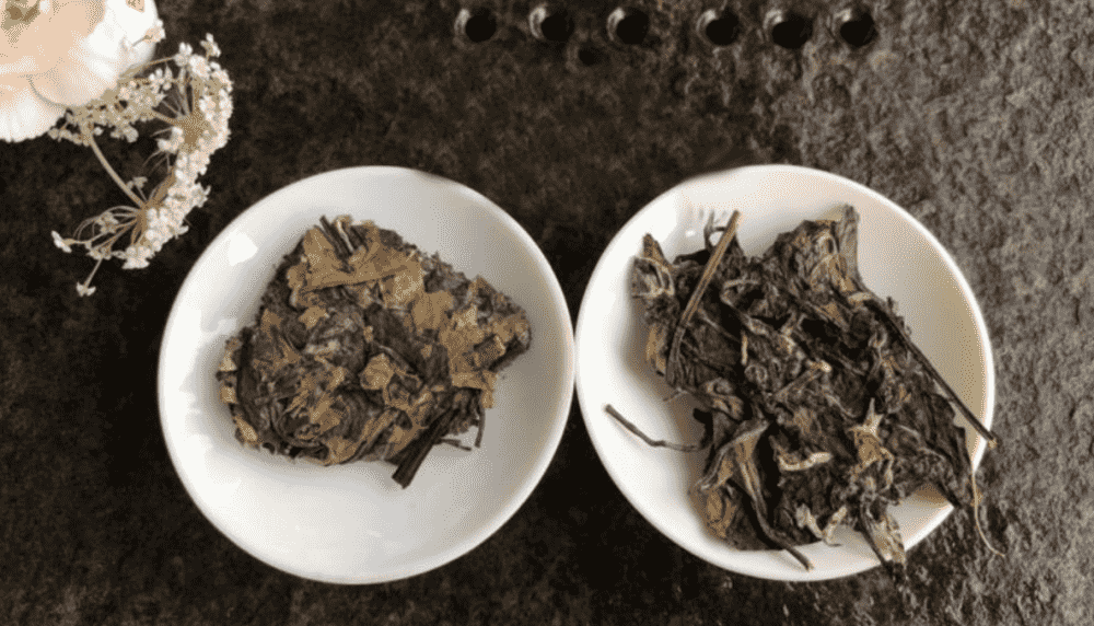 煮茶器适合煮什么茶