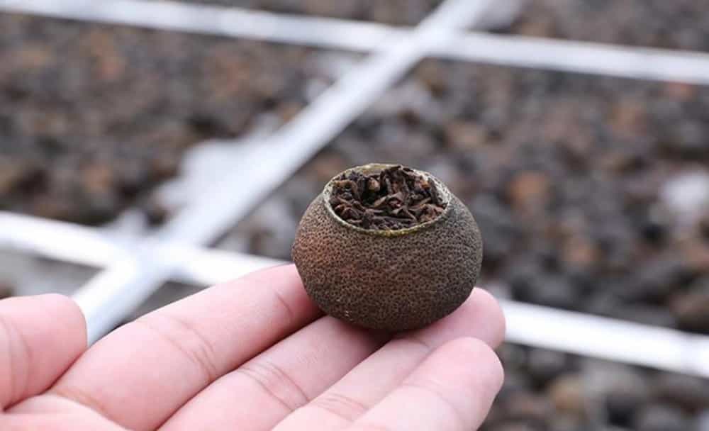 小青柑多少度的水泡
