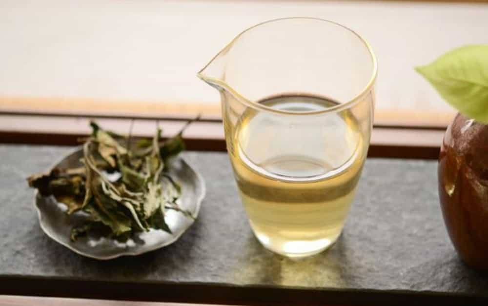云南白茶怎么泡