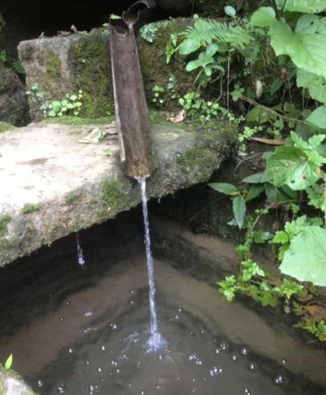 泡茶用纯净水还是山泉水