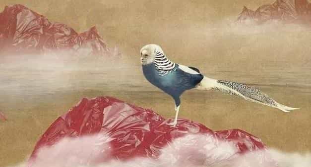 永远不要活在别人的世界里