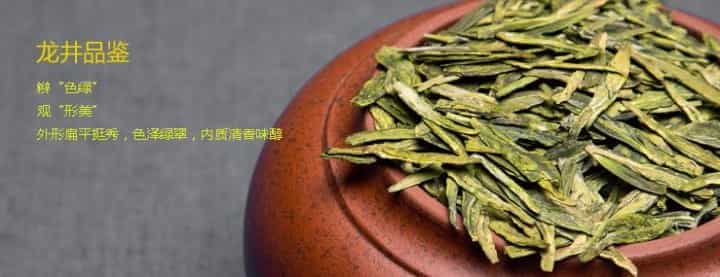 西湖龙井的的历史发展之路