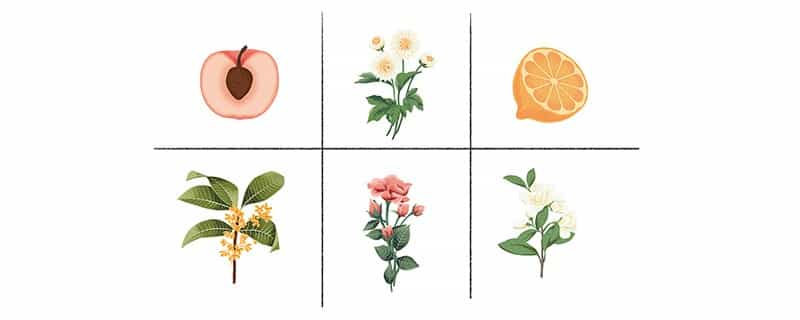 各种花茶的创意名字