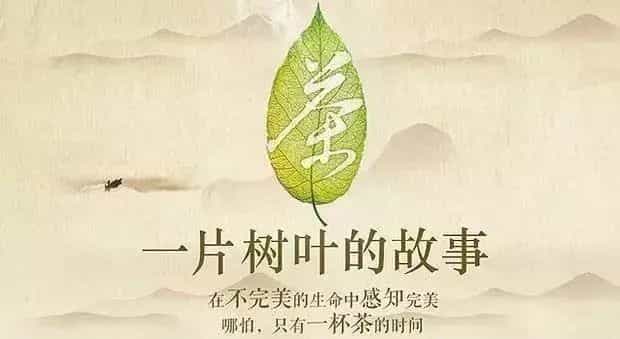 山上有棵树，树上长着茶，一片叶子的故事由此开始