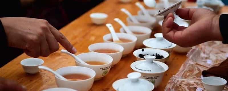 什么是斗茶