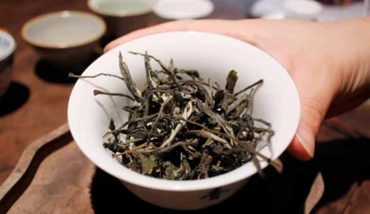 杨绛说：苦涩浓茶，最配细品