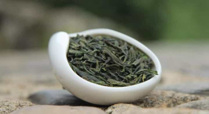 为什么好茶都喜欢生活在北纬30度