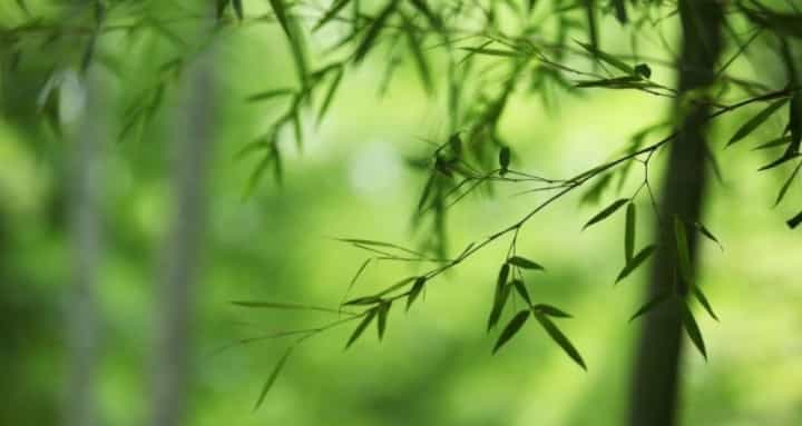 真正的成熟，是接受平凡的人生