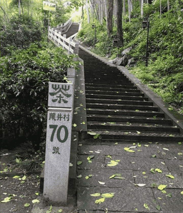 龙井茶的文化与传承