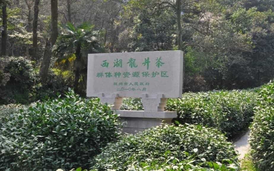 龙井茶的文化与传承