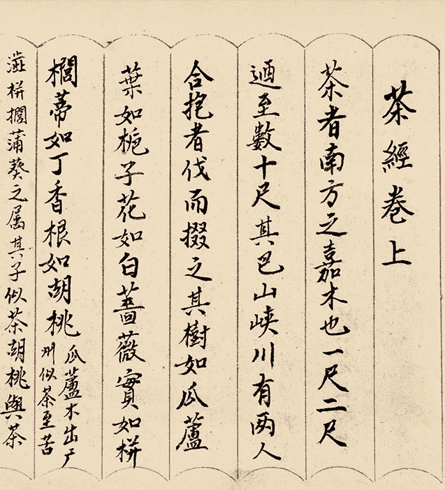 茶的别名，茶叶都有哪些雅号别名?