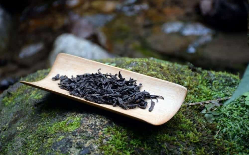 品饮乌龙茶的起源时代