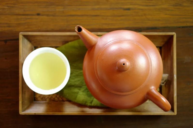 刘仲华等：茶叶功能成分的健康作用研究新进展（一）