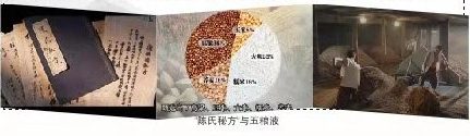 了解邓子均,邓子均不平凡的一生