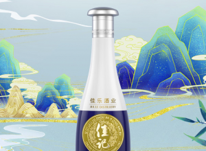 佳记酒泸州佳记青白 浓香型白酒 口粮酒礼盒装整箱 52度500ml*3瓶