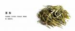 霍山黄芽茶叶的功效与作用有哪些？