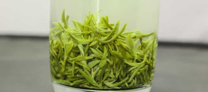 什么是绿茶？绿茶有哪些品种？